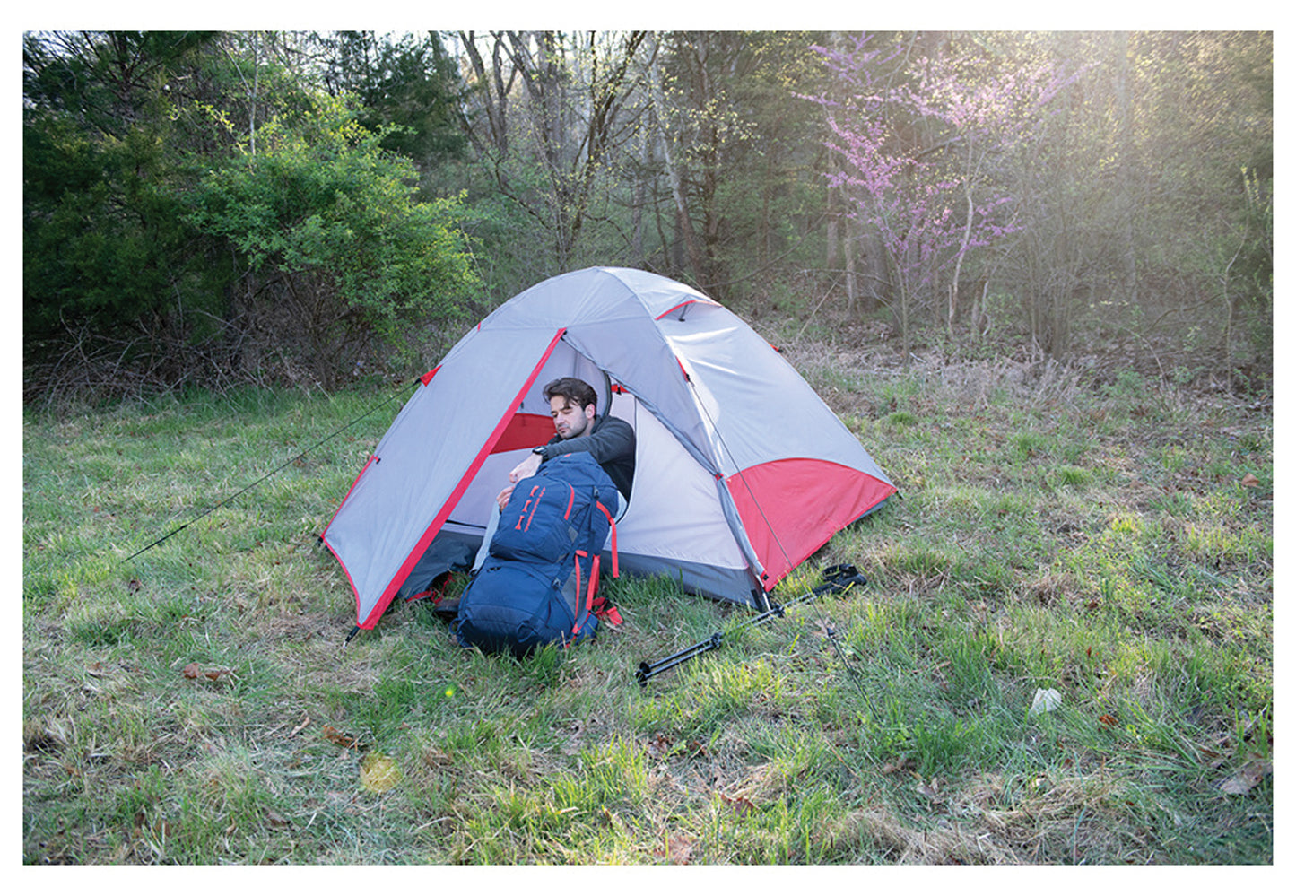 ALPS Mountaineering Taurus 4-Person Camping Tent product image