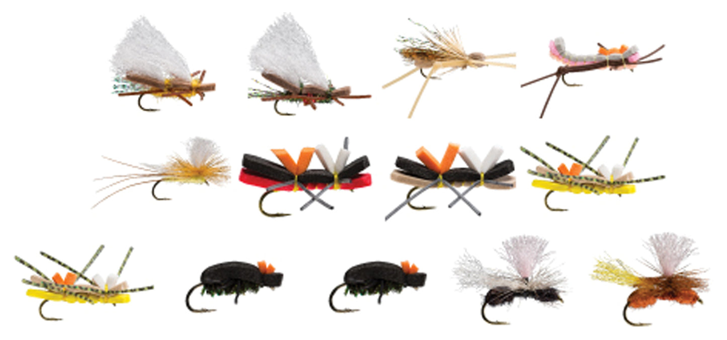 Terrestrial Assortment