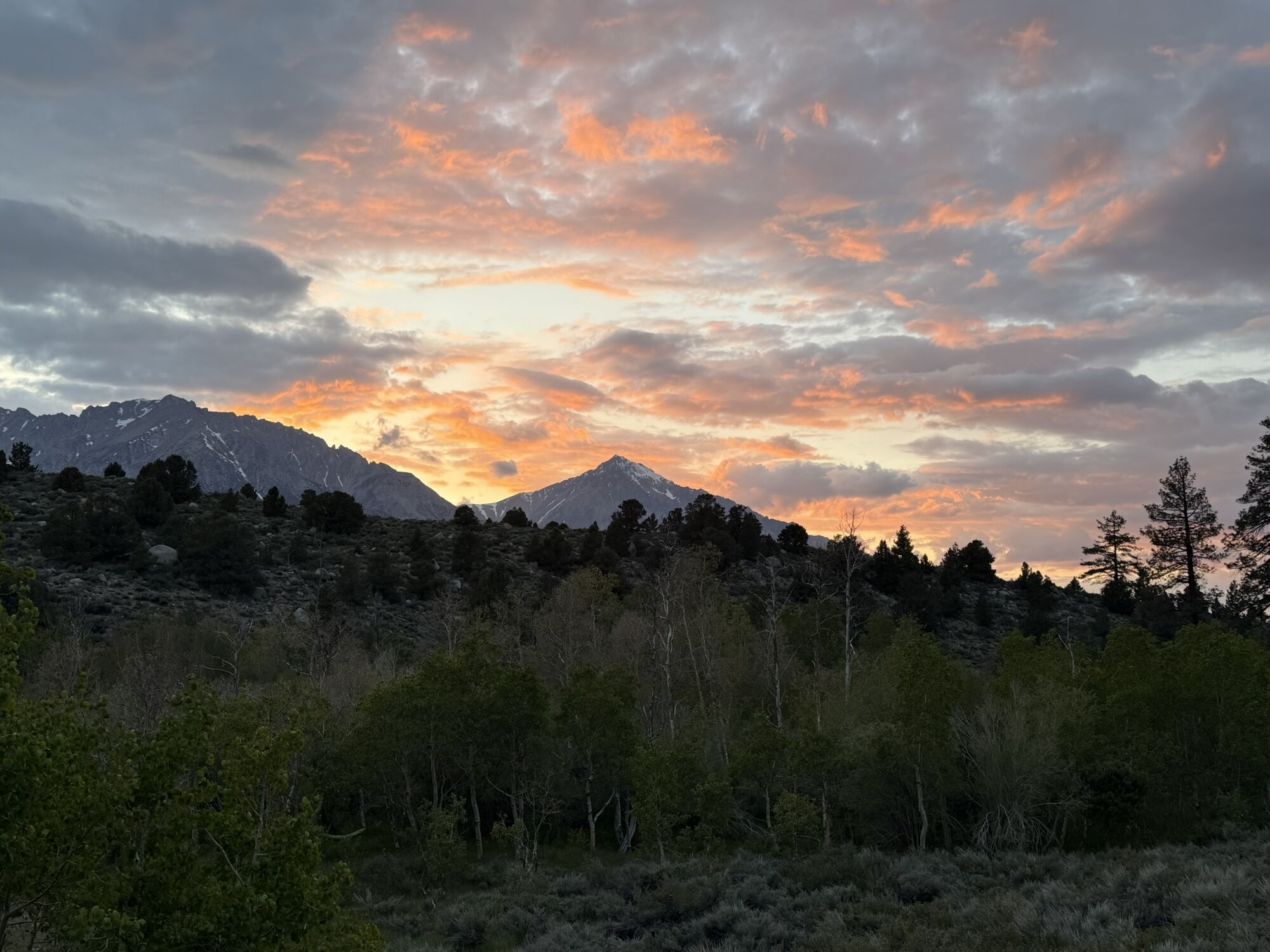 Sunset light breaking over the Sierra peaks above a valley of aspen and sage.