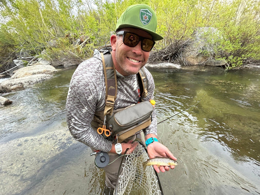 Eastern Sierra Potential