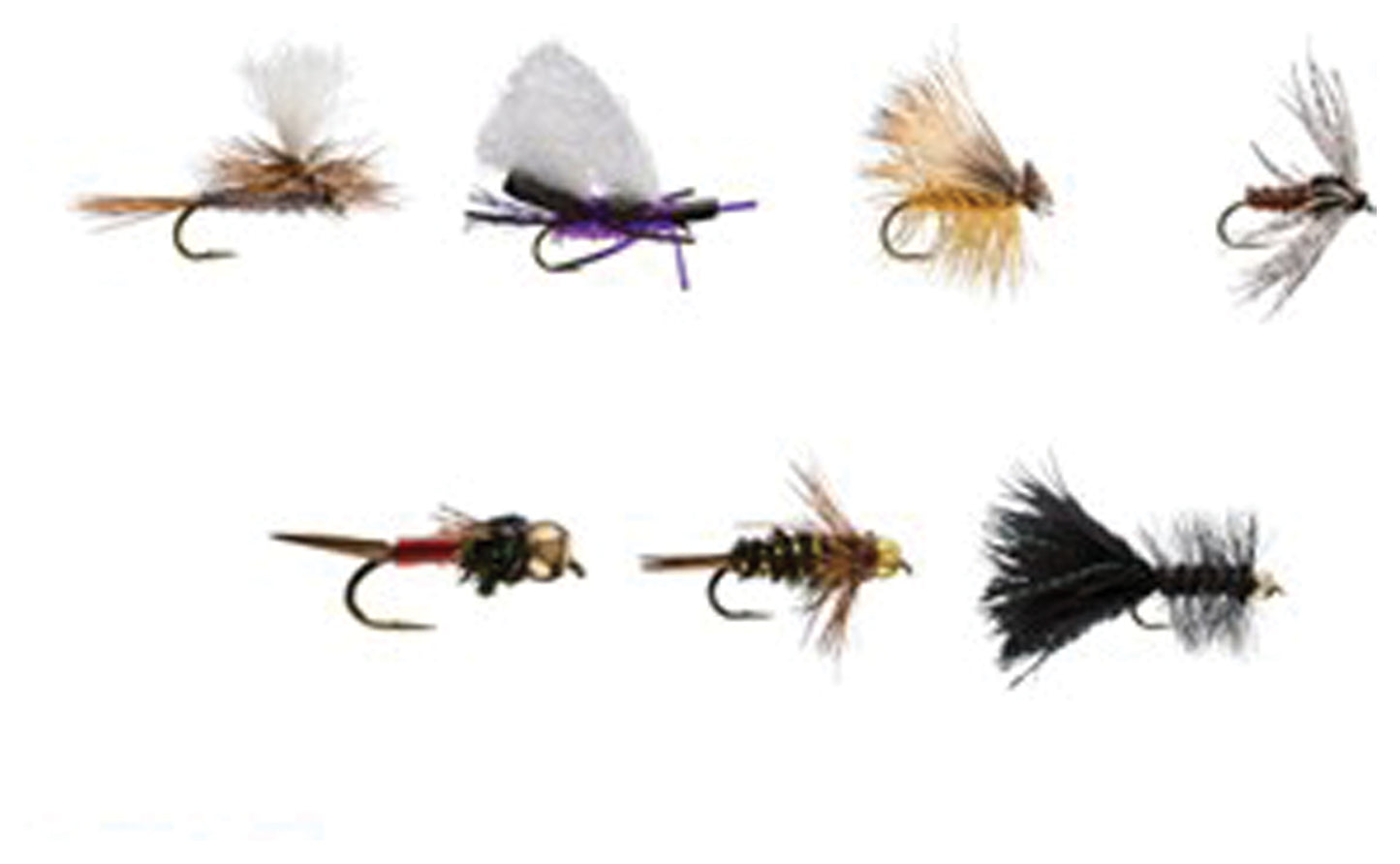 Basic Trout Assortment