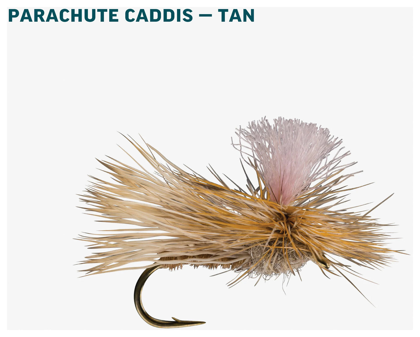 Tan Caddis Dry Assortment