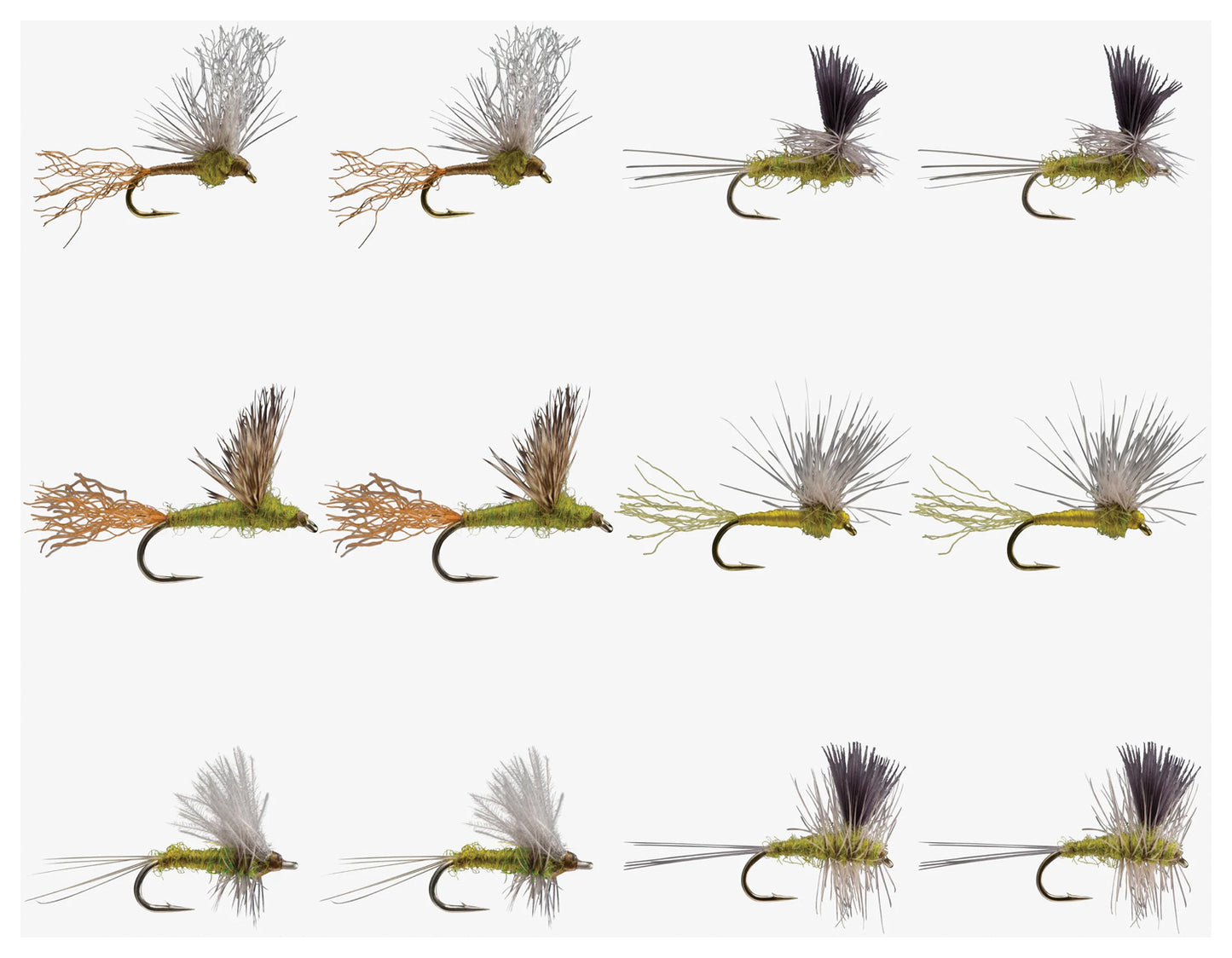Bwo Dry Assortment