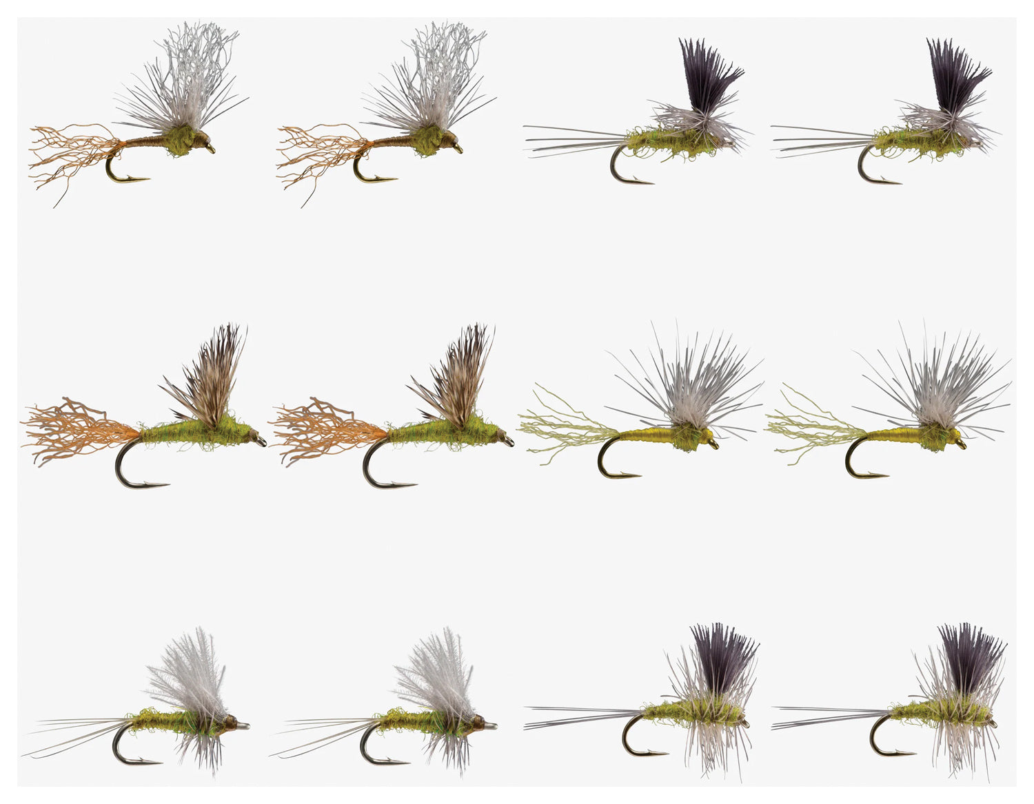 Bwo Dry Assortment