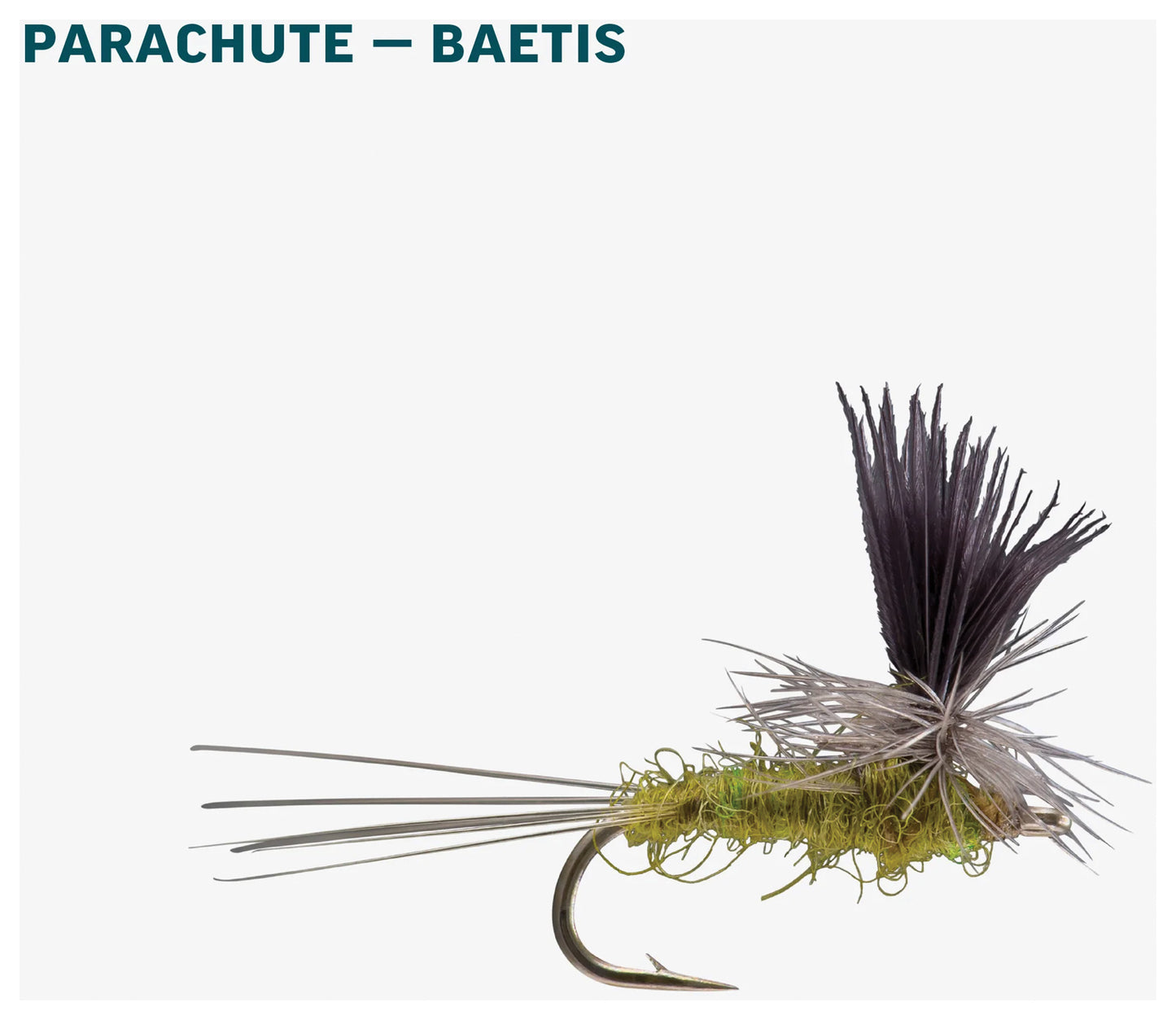 Bwo Dry Assortment