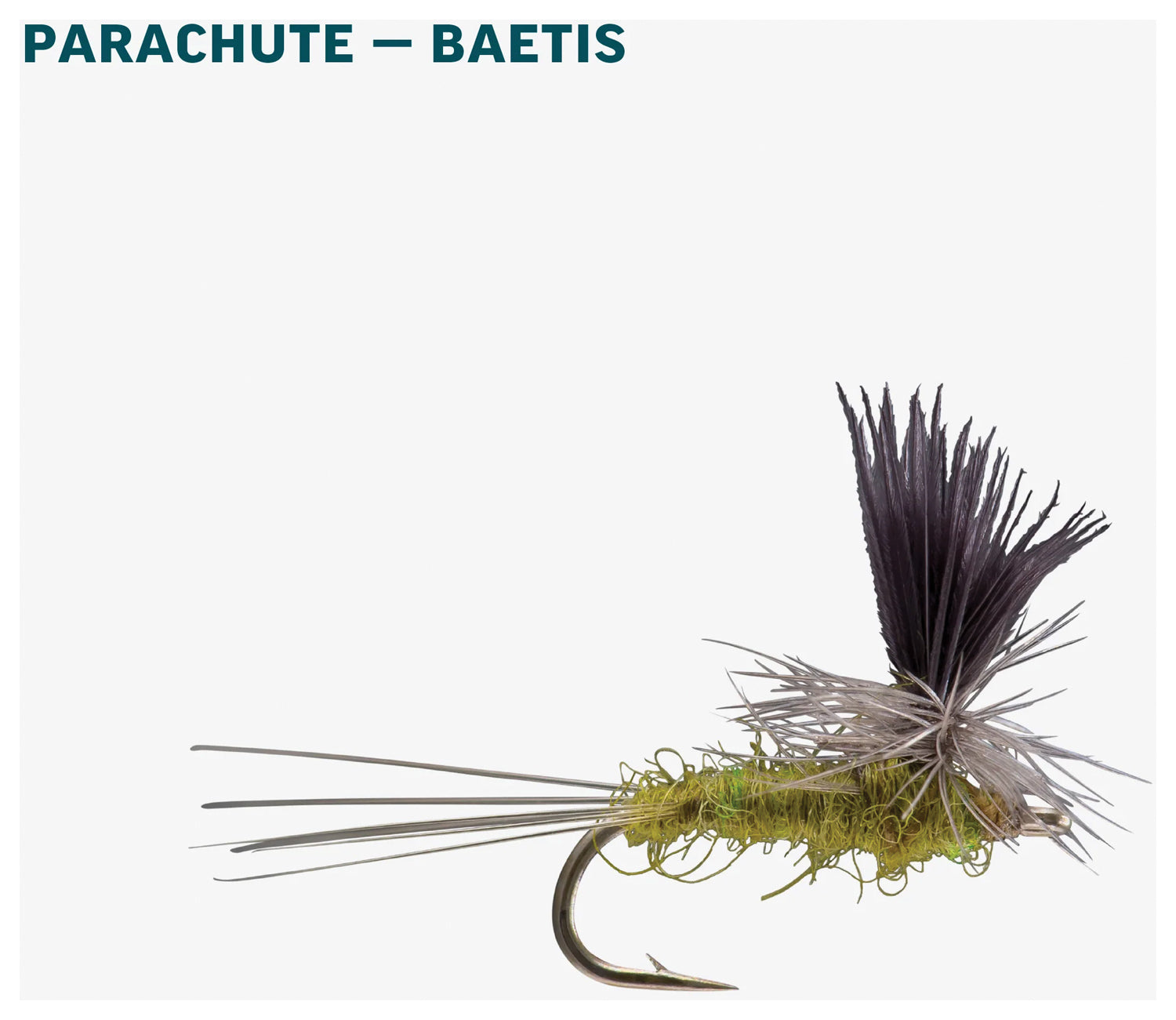 Bwo Dry Assortment