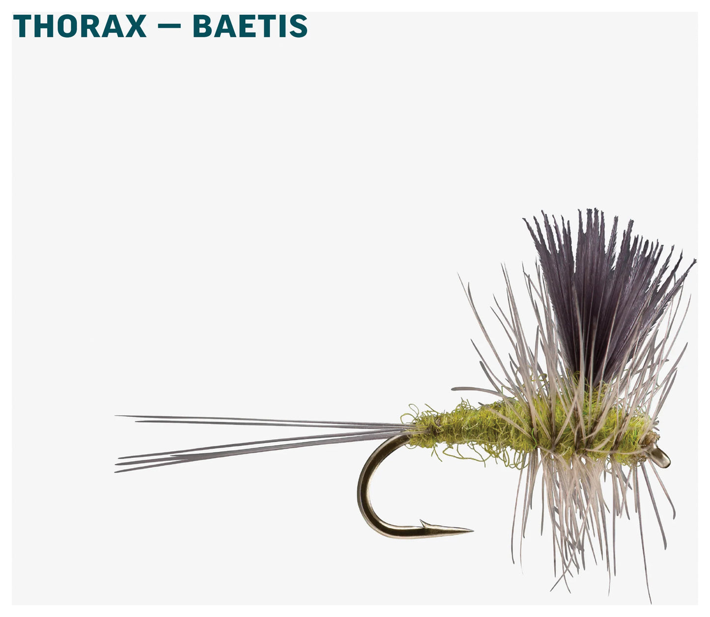 Bwo Dry Assortment
