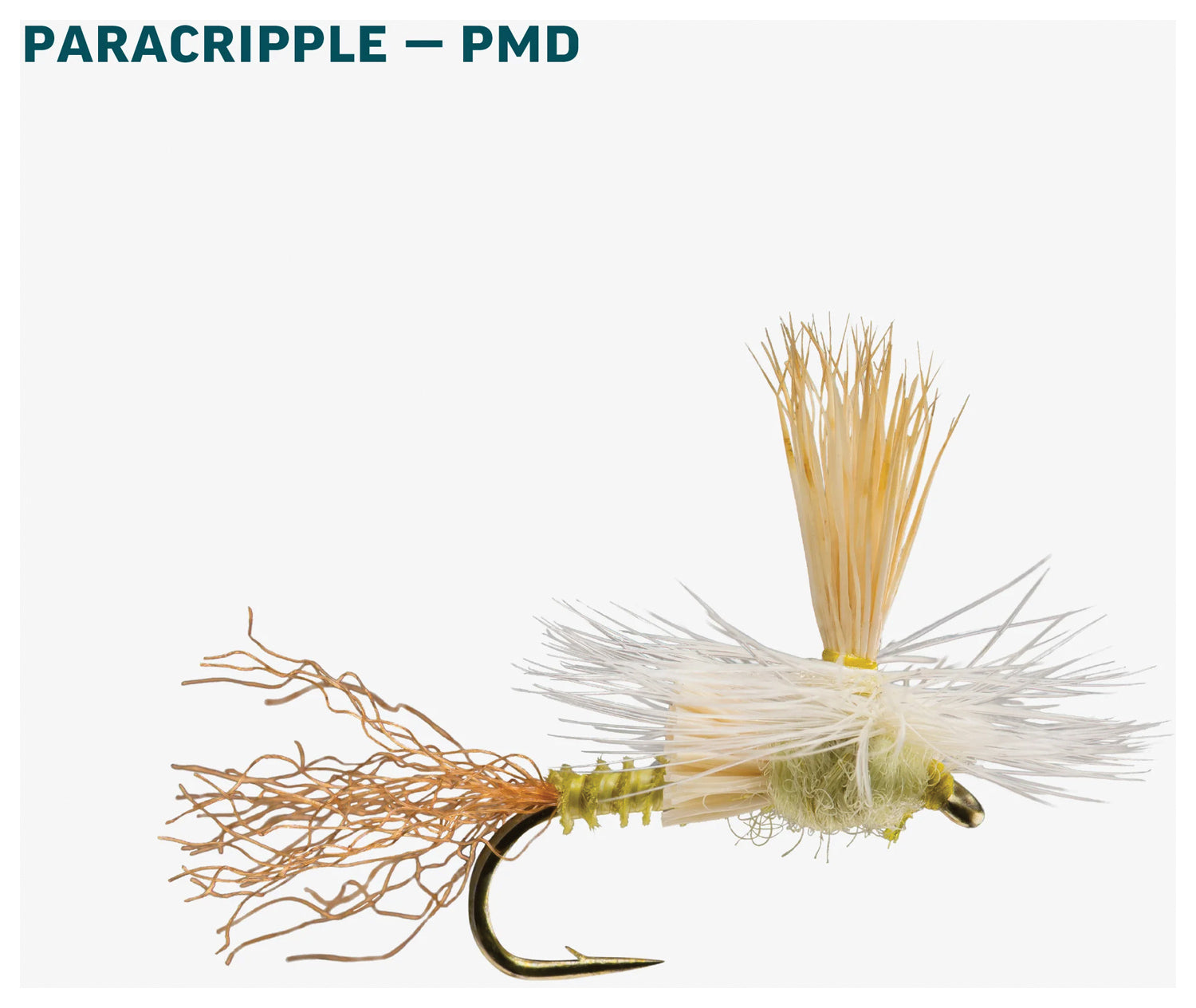 Pmd Dry Assortment