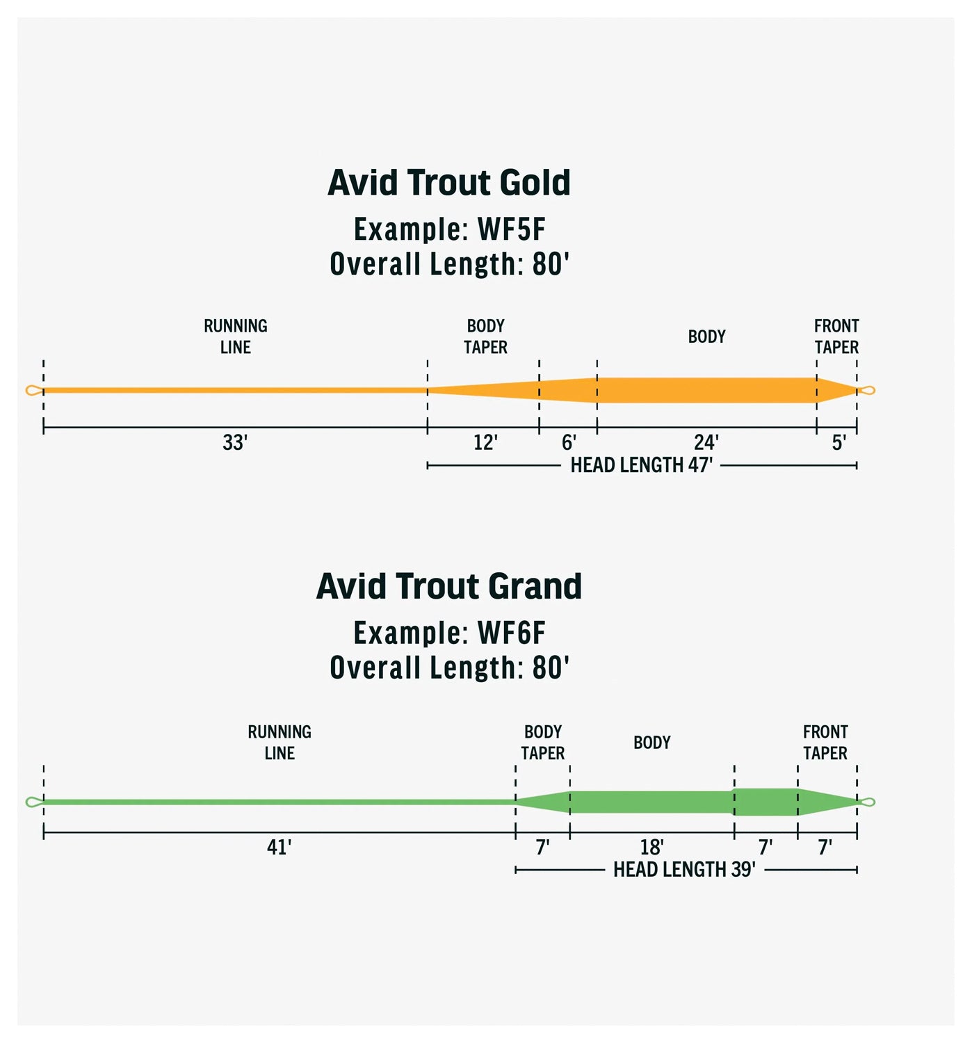 Avid Gold Wf5 F