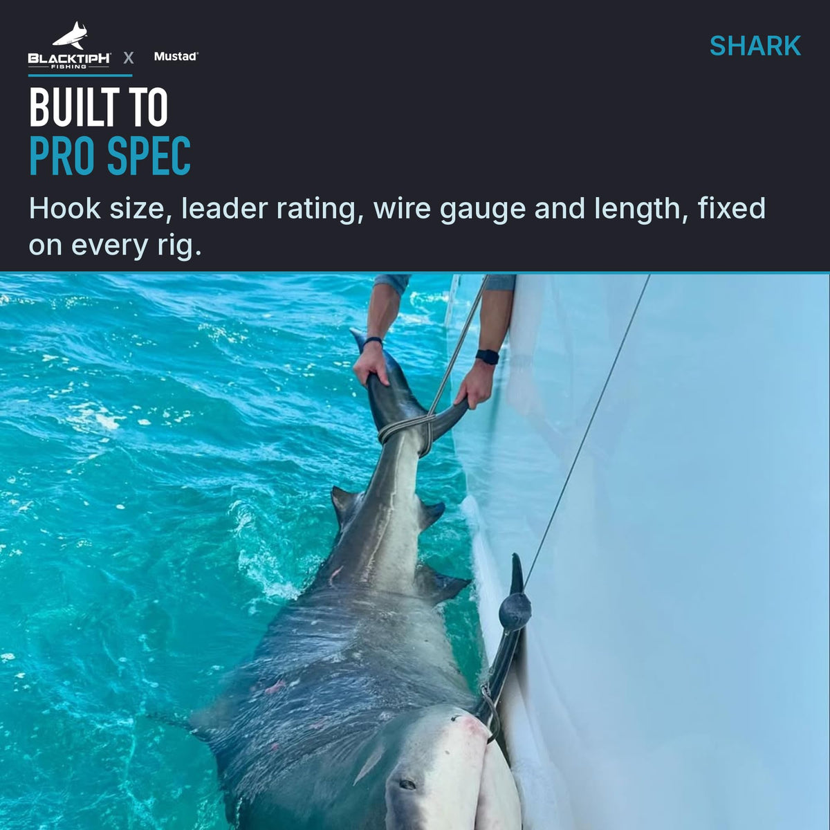 Mustad BlacktipH Monster Shark Rig - 16/0