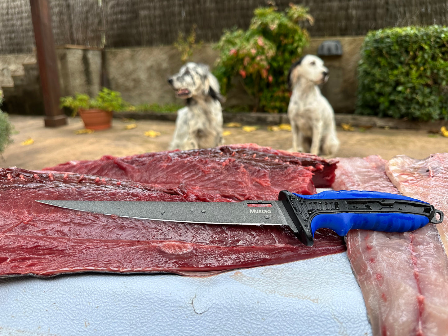 Mustad 7" German Stainless Steel Fillet Knife